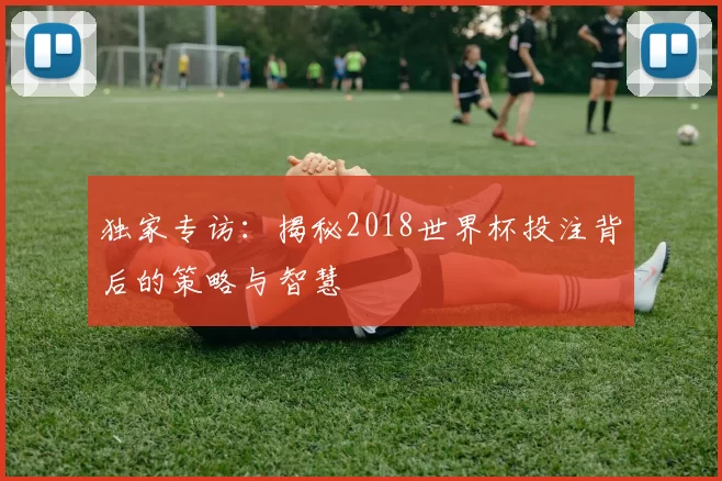 独家专访:揭秘2018世界杯投注背后的策略与智慧