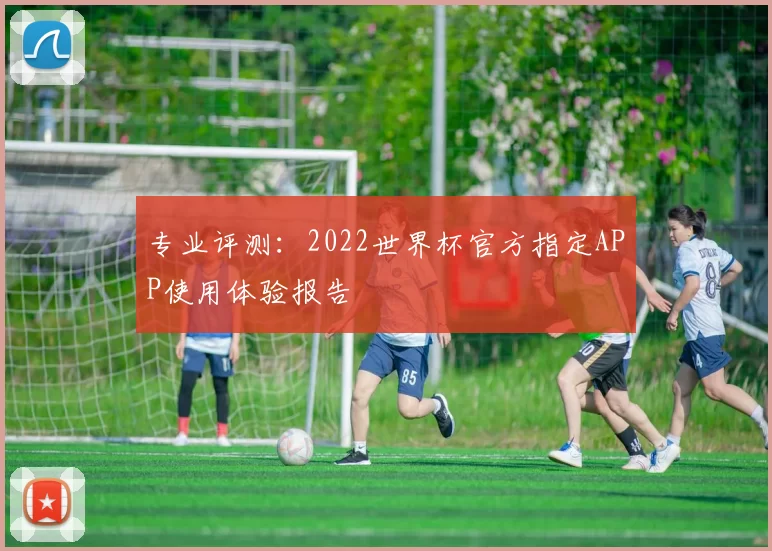 专业评测:2022世界杯官方指定APP使用体验报告