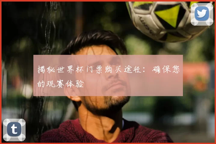 揭秘世界杯门票购买途径:确保您的观赛体验