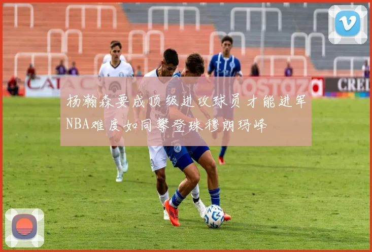 杨瀚森要成顶级进攻球员才能进军NBA难度如同攀登珠穆朗玛峰