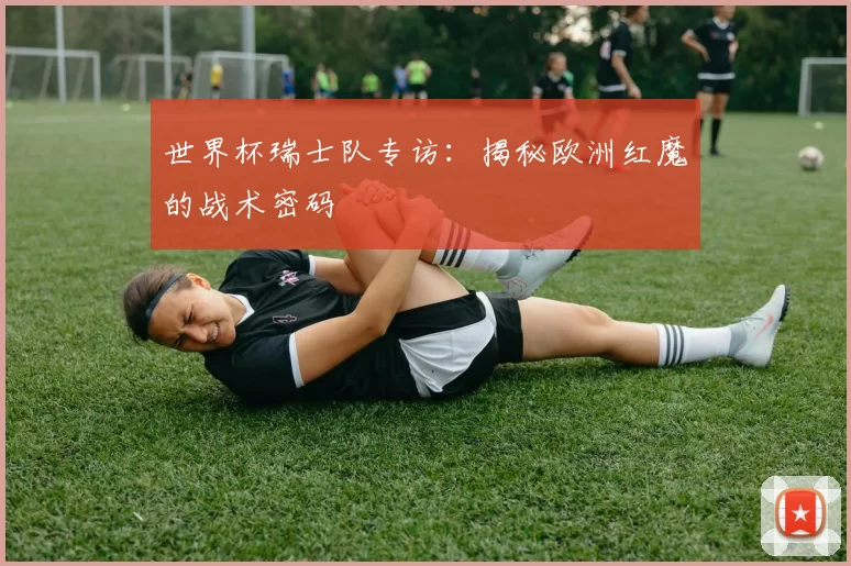 世界杯瑞士队专访:揭秘欧洲红魔的战术密码