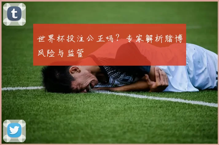 世界杯投注公正吗?专家解析赌博风险与监管
