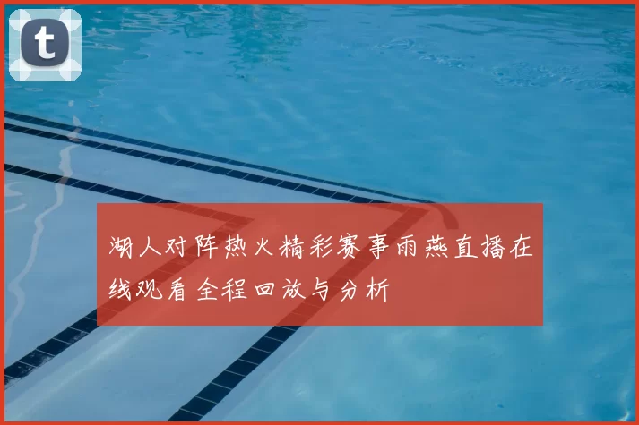 湖人对阵热火精彩赛事雨燕直播在线观看全程回放与分析