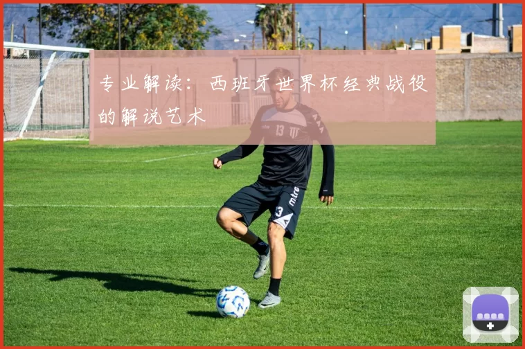 专业解读:西班牙世界杯经典战役的解说艺术
