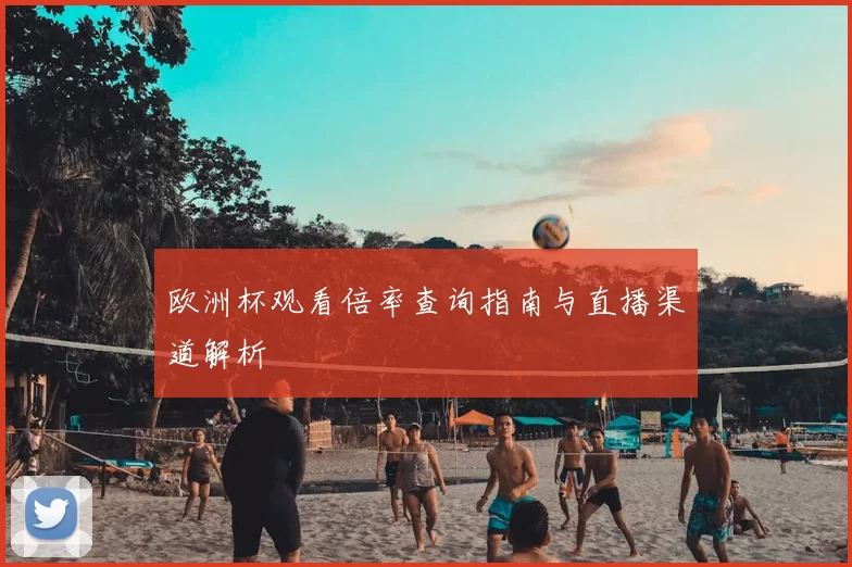 欧洲杯观看倍率查询指南与直播渠道解析