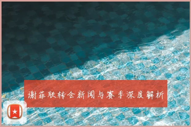 谢菲联转会新闻与赛季深度解析