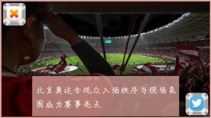 北京奥运会观众入场秩序与现场氛围成为赛事亮点