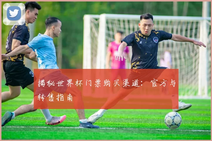 揭秘世界杯门票购买渠道:官方与转售指南