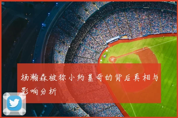 杨瀚森被称小约基奇的背后真相与影响分析
