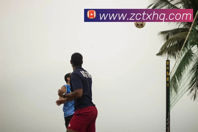 乐鱼体育平台生态图